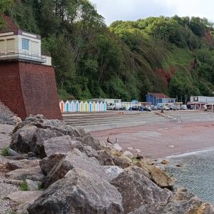 England 2026   Torquay 16