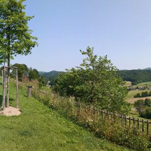 Steiermark 2025 2