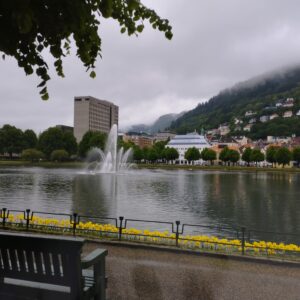 Norge 2024 50