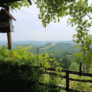 Steiermark 2025 30